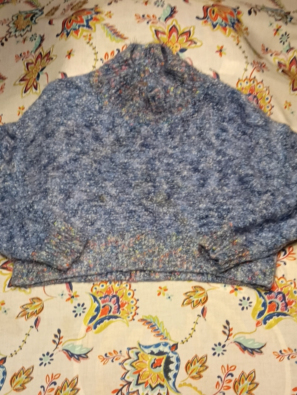 Free People Small Sweater